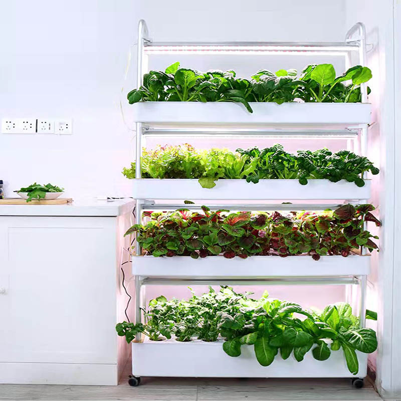 ydroponic Planting System Smar - Diy Home Automation System ulasan dan harga