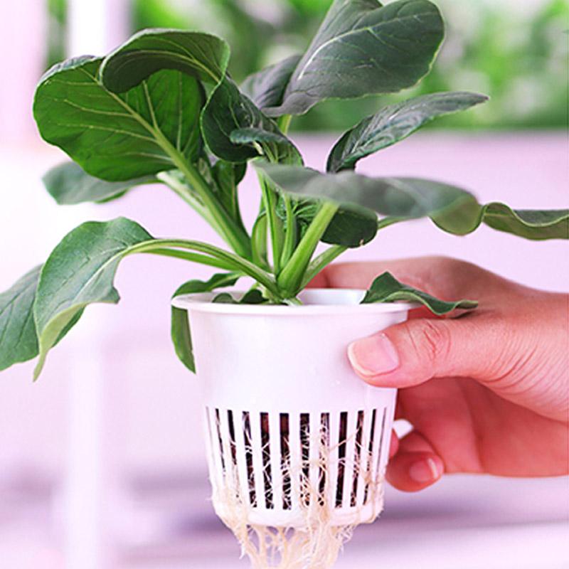 ydroponic Planting System Smar - Diy Home Automation System ulasan dan harga