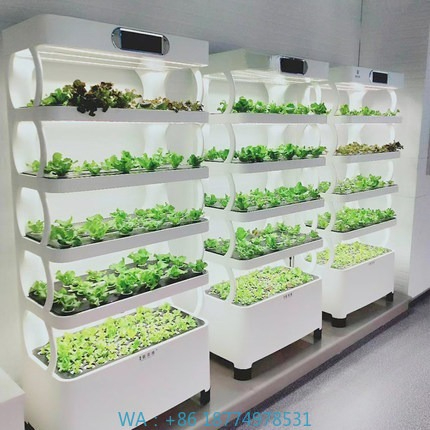 Hydroponic Automated Grow Syst - Diy Automation ulasan dan harga